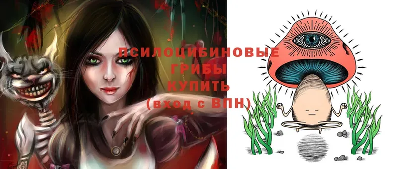 купить закладку  Кыштым  hydra как войти  Псилоцибиновые грибы Psilocybine cubensis 